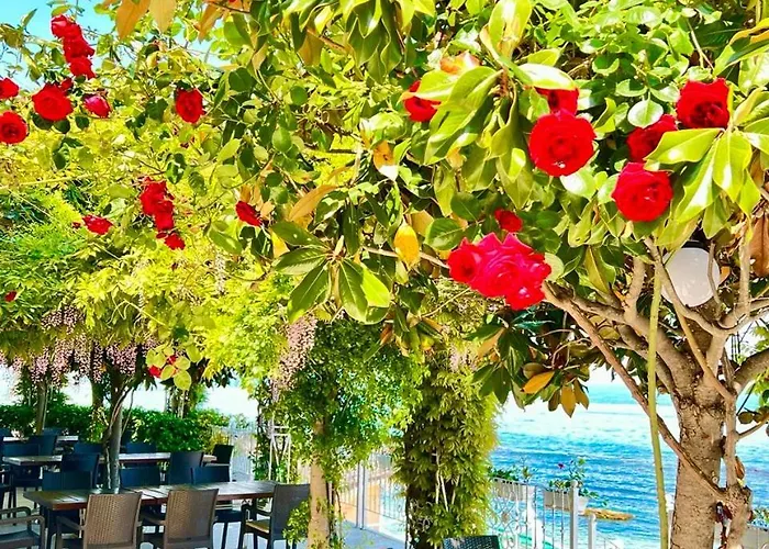 Apartment La Prime Time